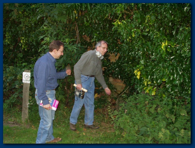 600x449 pixels (162K)